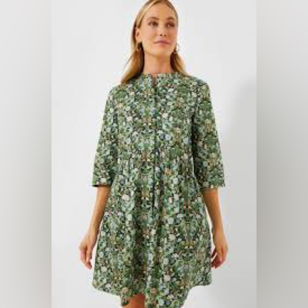 Tuckernuck Sage Green Damask dress